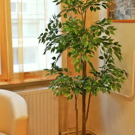 Paprika Apartment